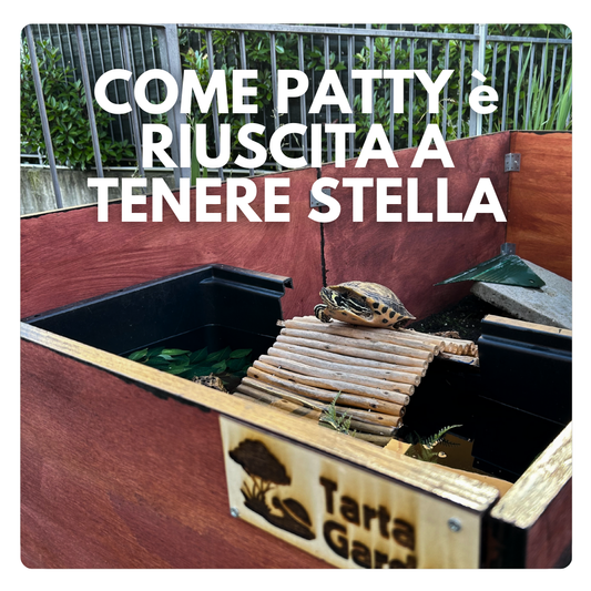 La storia di Patty e la sua Tartaruga Stella