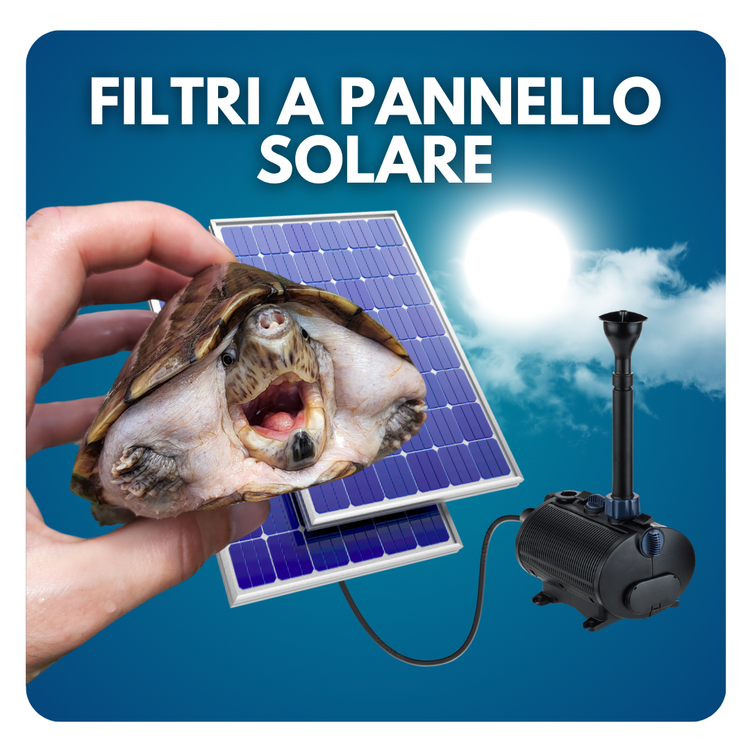 Filtri a pannelli solari per tartarughe