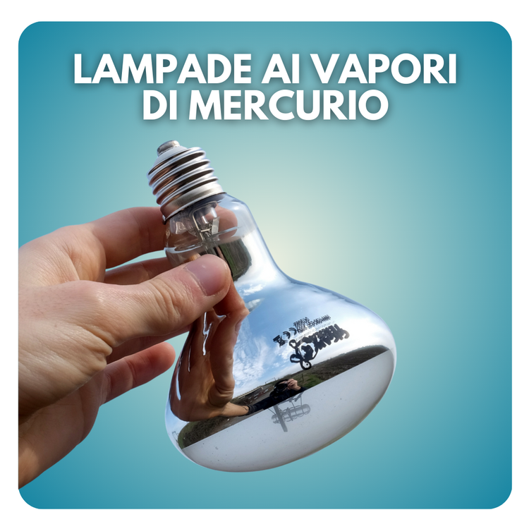 Lampade vapori di mercurio per tartarughe