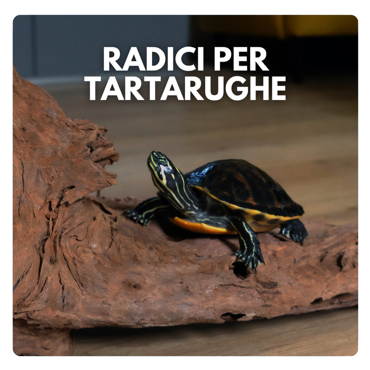 Radici e piante per tartarughe d'acqua dolce