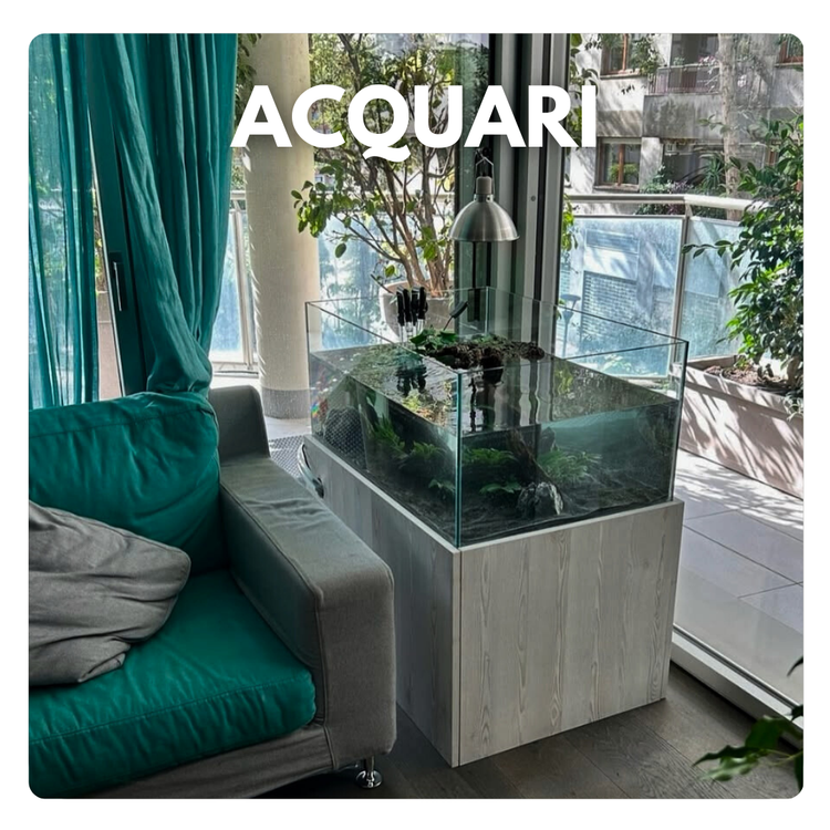 acquari in vetro per tartarughe