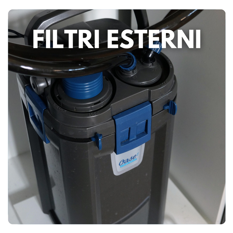 Filtri esterni per acquario tartarughe