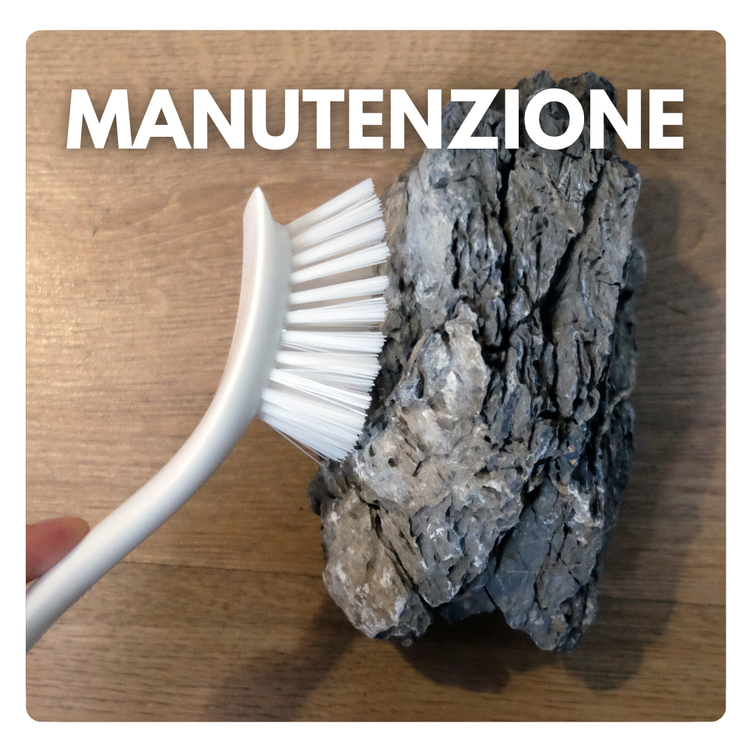 Manutenzione dell'acquario