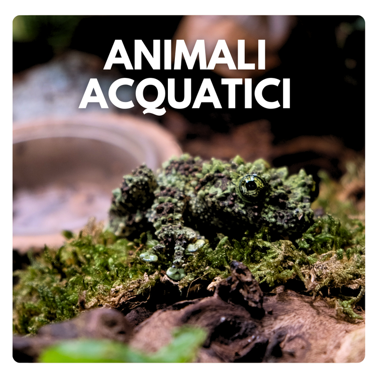 negozio acquari
