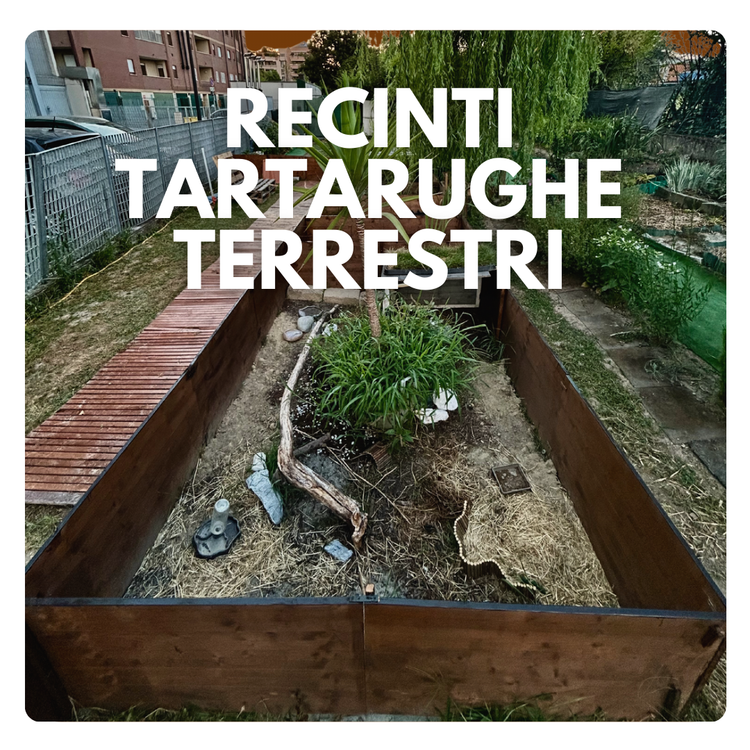 recinti tartarughe terrestri