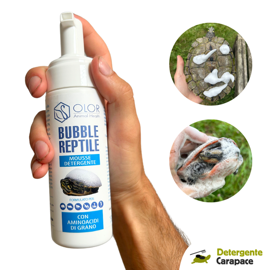 Bubble reptile detergente pulizia rettili guscio tartarughe