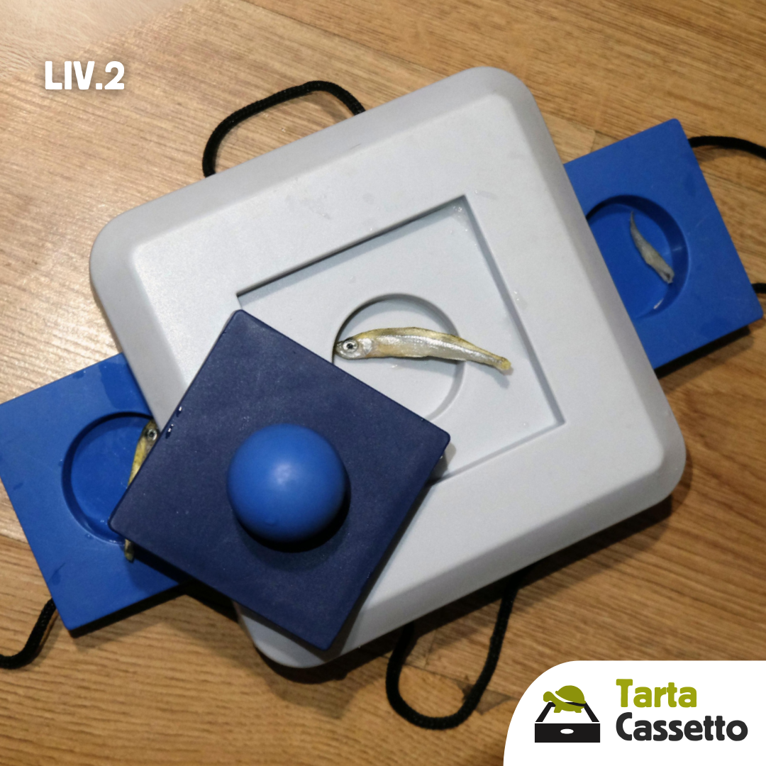Cassetto gioco di attivazione mentale per tartarughe