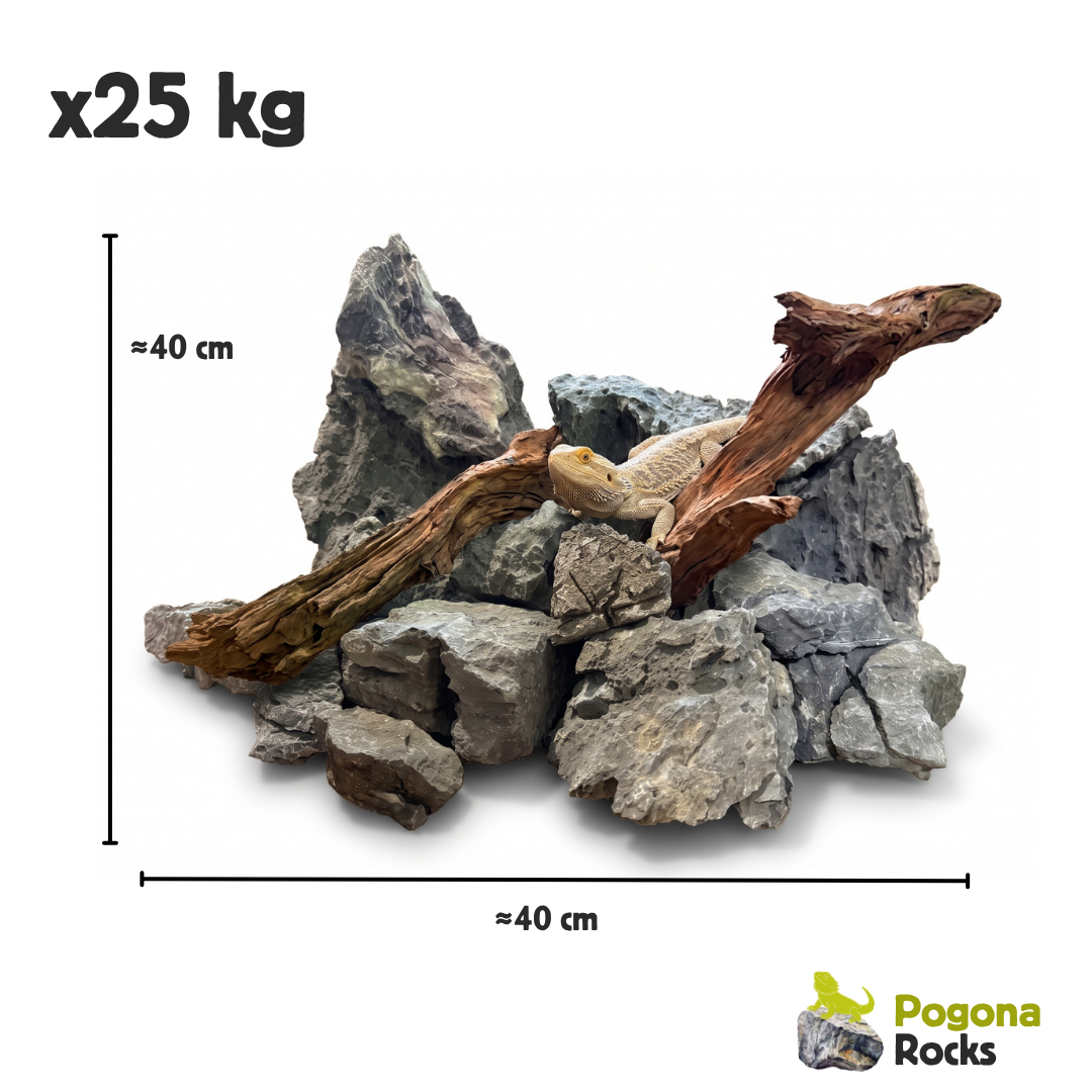 Combo habitat rocce e legni per terrario Pogona vitticeps