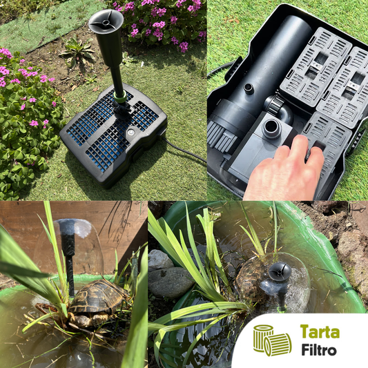 Filtro per laghetti con tartarughe