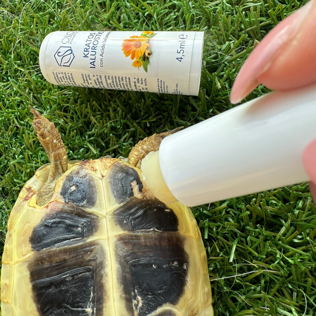 Ilaurostik pet cicatrizzante ed epitelizzante