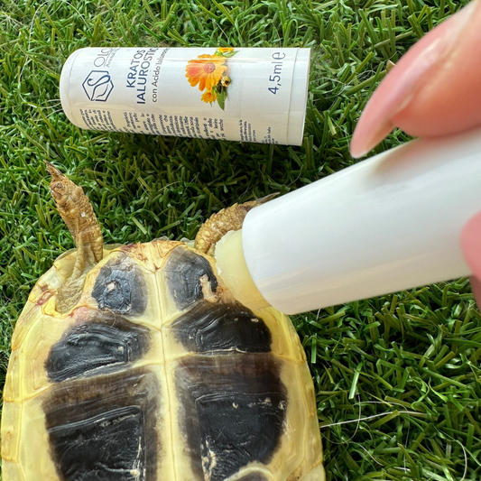 Ilaurostik pet cicatrizzante ed epitelizzante
