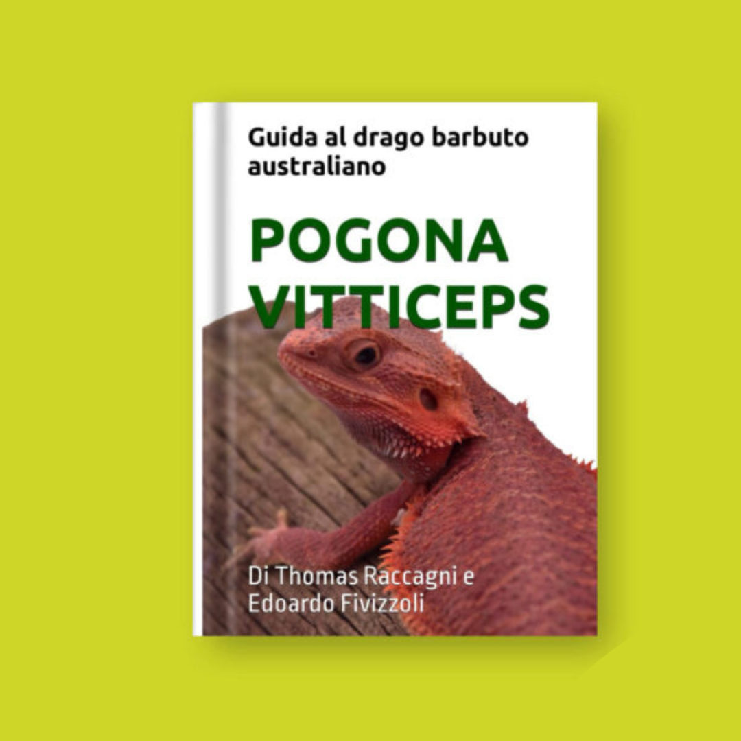Libro Pogona vitticeps