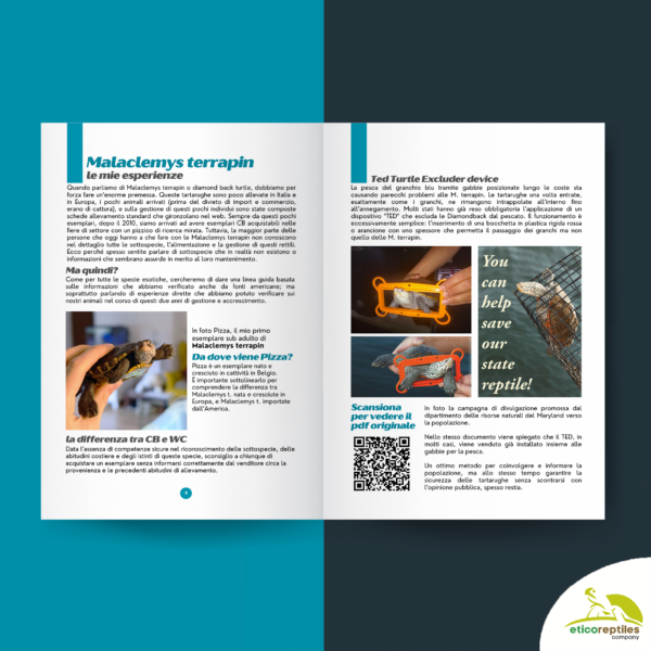 TartaGenius n°1, rivista tartarughe: Malaclemys terrapin e Centrochelys sulcata
