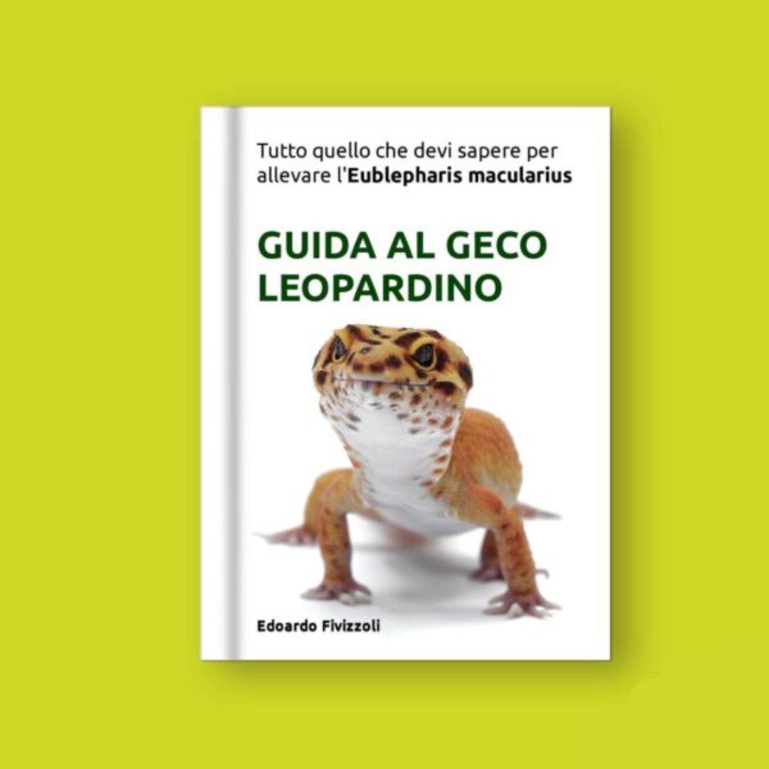 Manuale guida al geco leopardino Eublepharis macularius