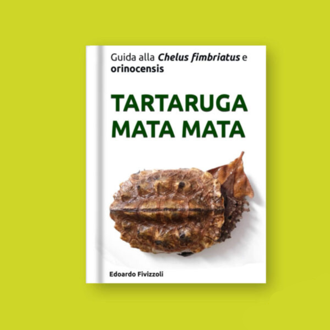 Manuale tartaruga mata mata guida alla Chelus fimbriatus