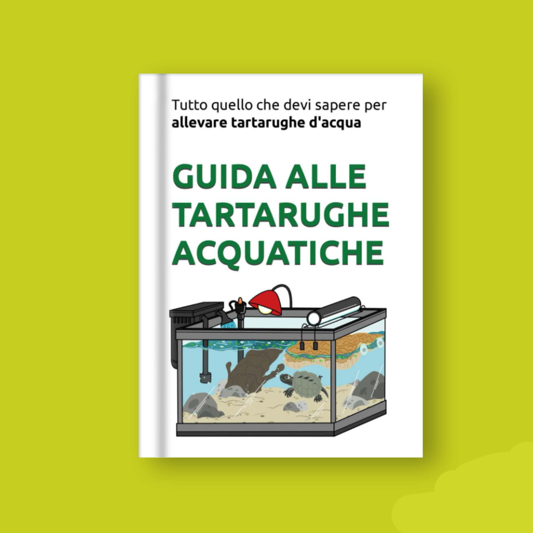 Manuale tartarughe d'acqua dolce