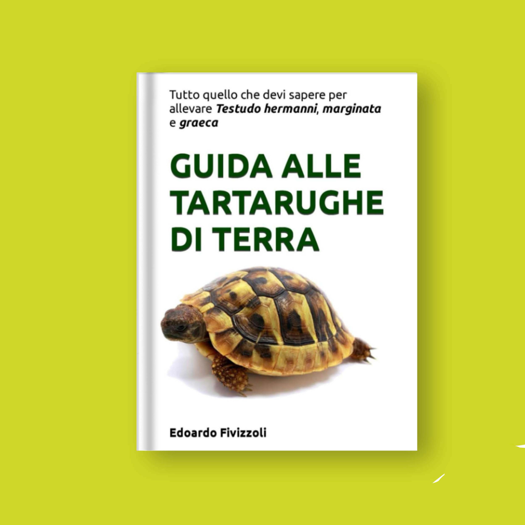 Manuale tartarughe di terra: Testudo hermanni, Testudo marginata, Testudo graeca