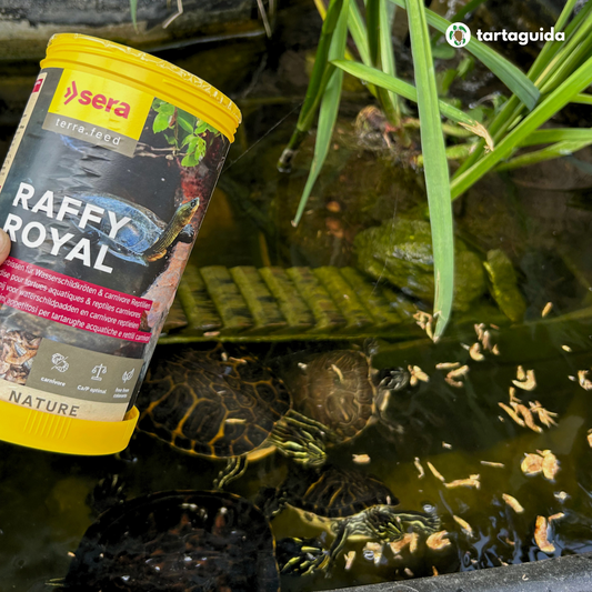 Pesci essiccati per tartarughe d'acqua dolce