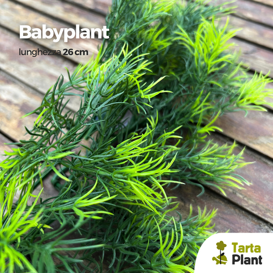 Piante per tartarughe d'acqua dolce