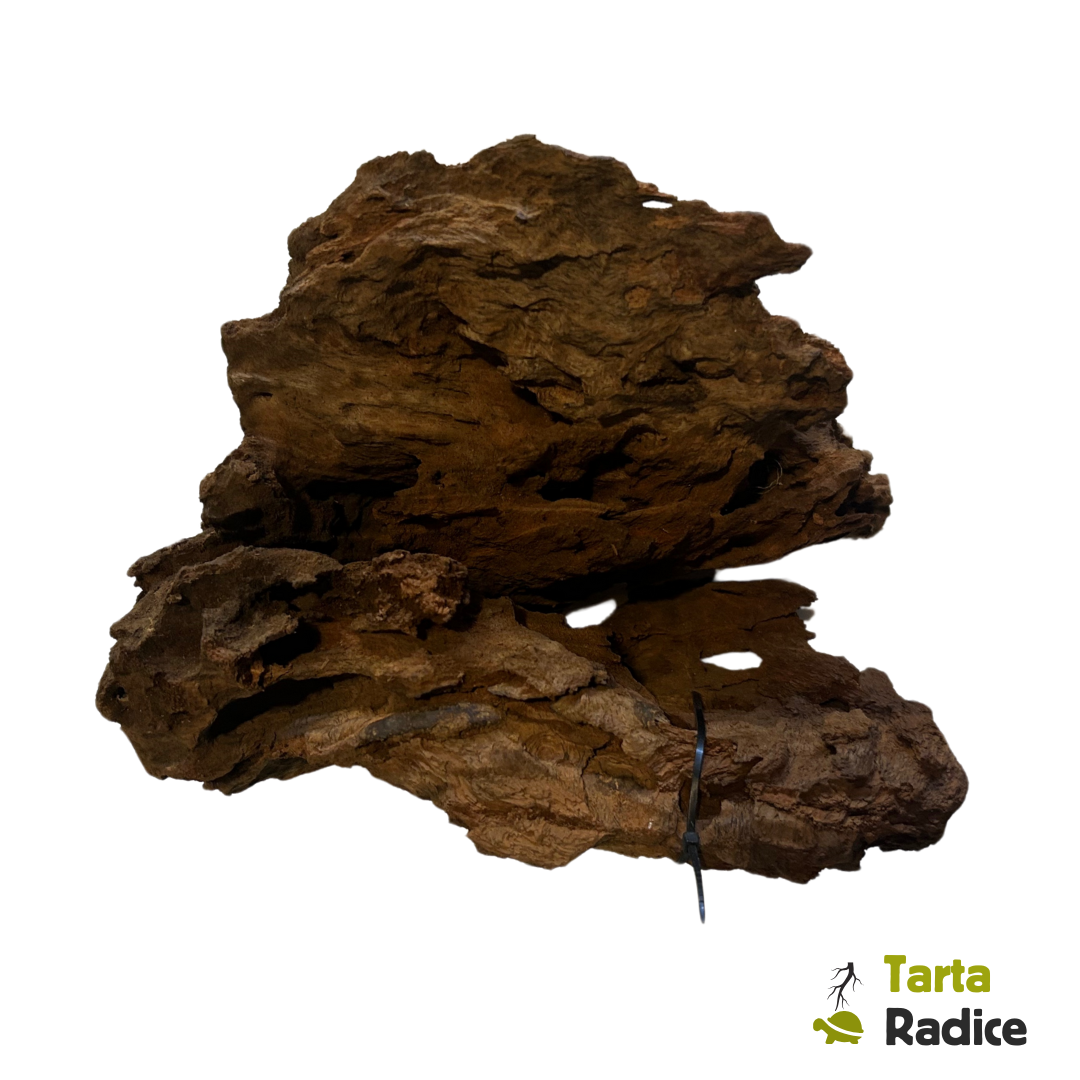 Radice per acquario M