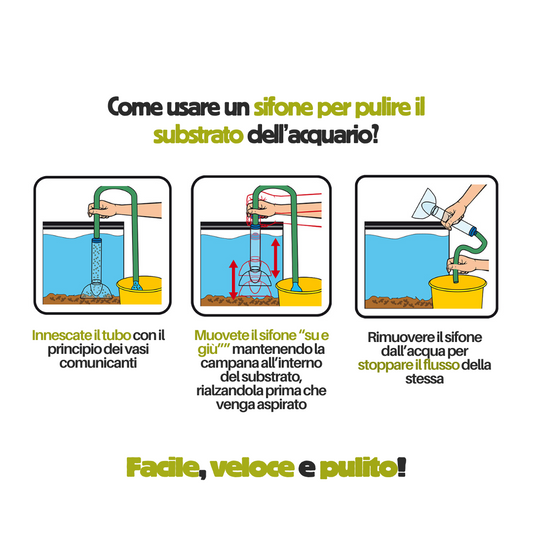 Sifone pulizia substrato tartarughe