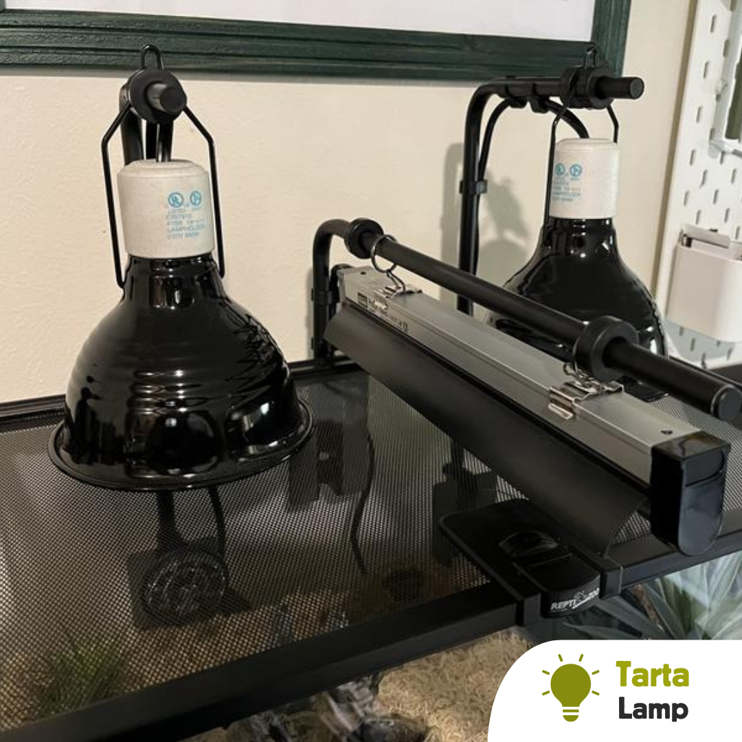 Supporto per lampada tartarughe in acquari terrari