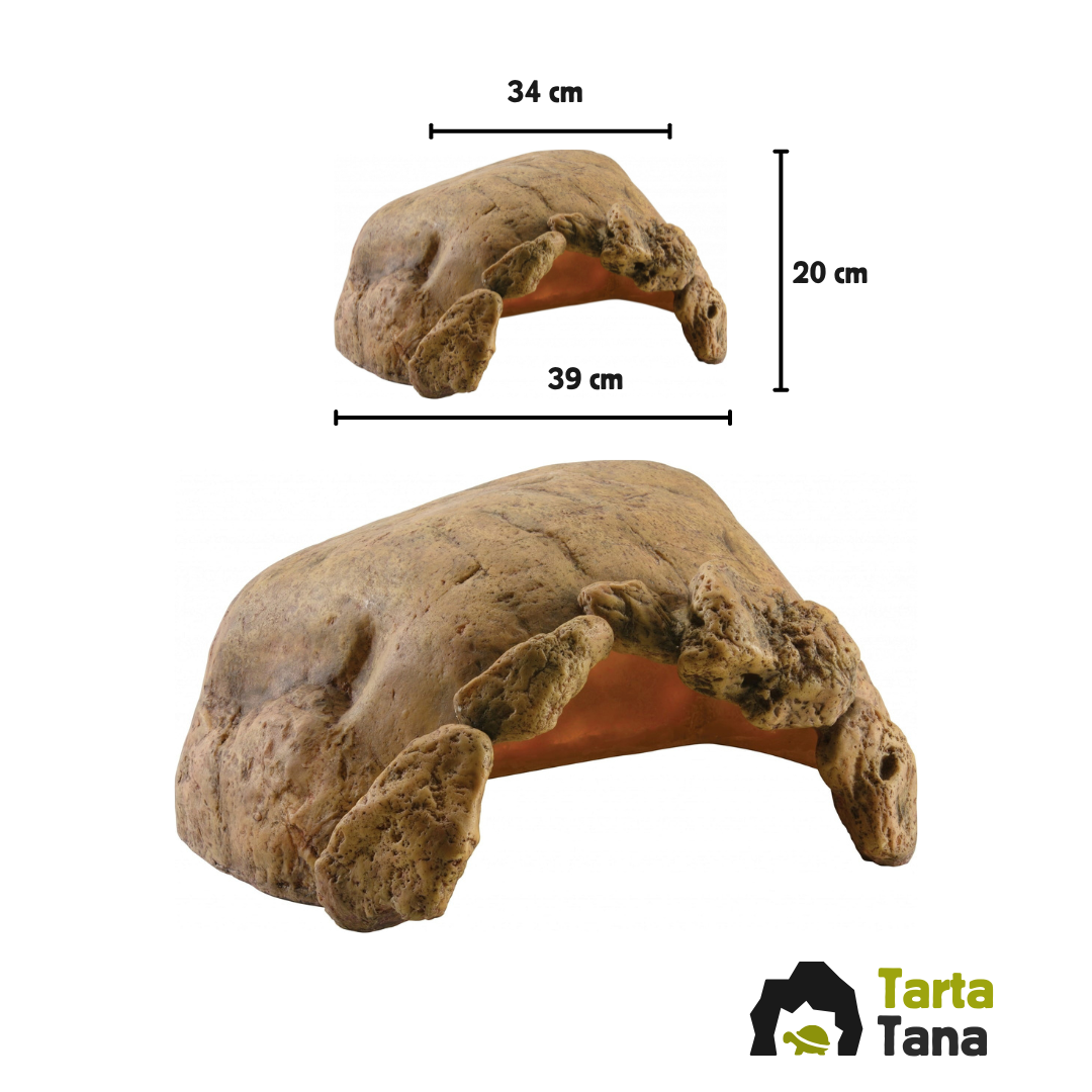 Tana per tartarughe