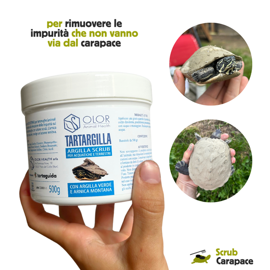 Tarta Argilla per rimuovere calcare e impurità carapace delle tartarughe
