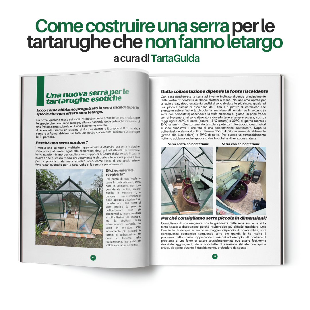 TartaGenius n°2 rivista tartarughe: Emydura subglobosa e Chelonoidis carbonaria