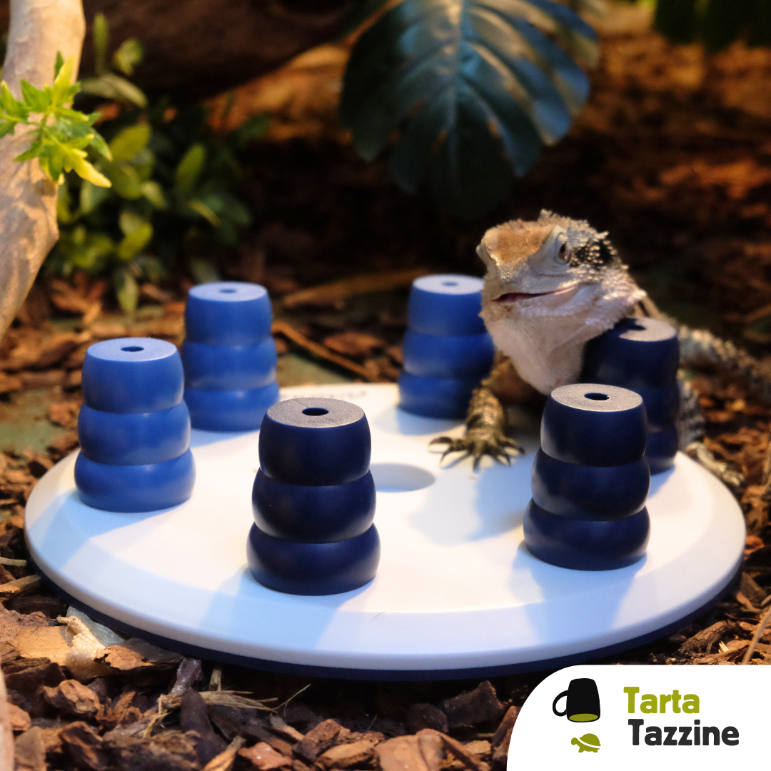 Tazzine gioco di attivazione mentale per rettili