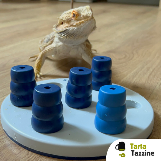 Tazzine gioco di attivazione mentale per rettili