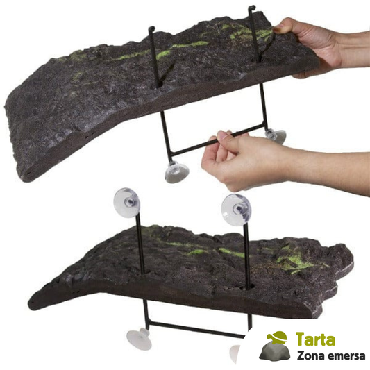 Zona emersa galleggiante per tartarughe con ventose rigide