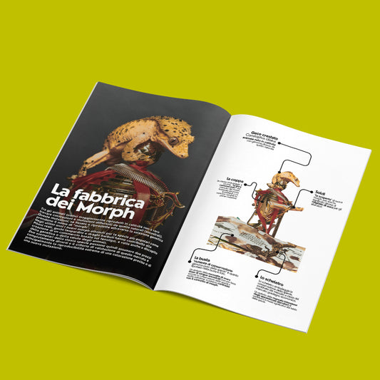 Il vero animalista è ambientalista