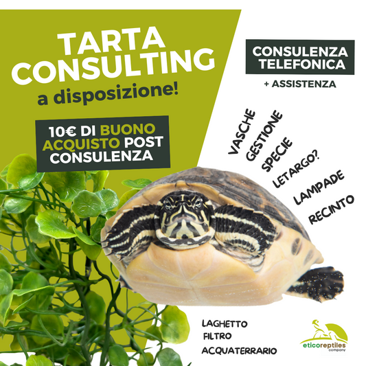 Consulenza tartarughe d'acqua dolce