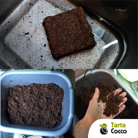 Fibra di cocco per tartarughe 650 grammi