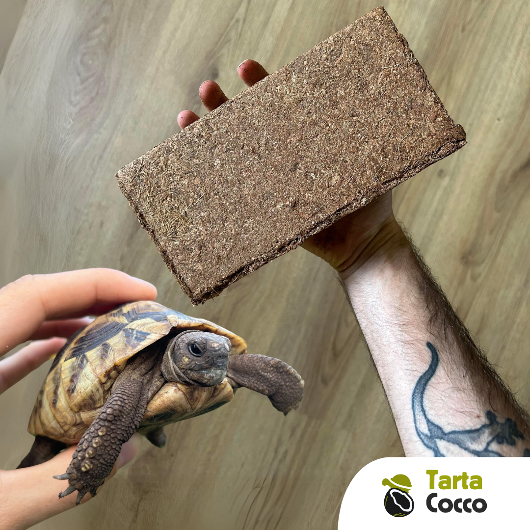 Fibra di cocco per tartarughe 650 grammi