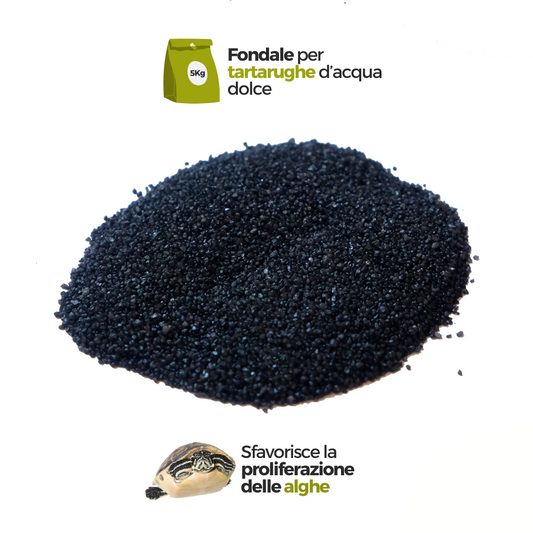 Fondale per tartarughe: sabbia per acquario