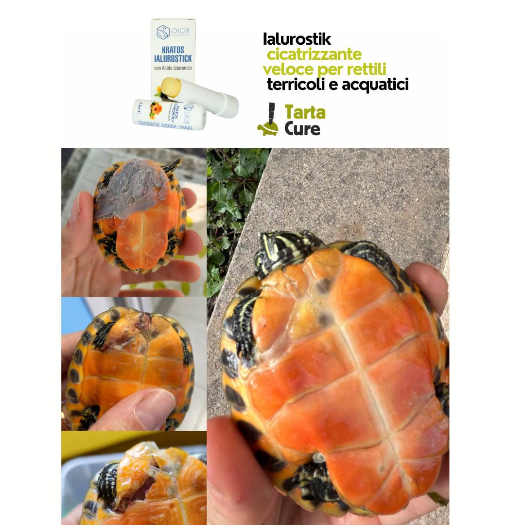 Ilaurostik pet cicatrizzante ed epitelizzante