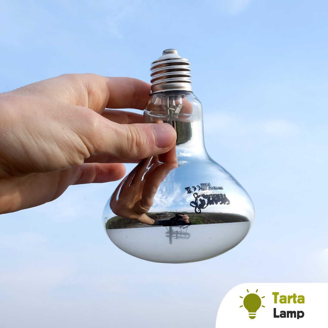 Lampada ai vapori di mercurio per tartarughe d'acqua dolce