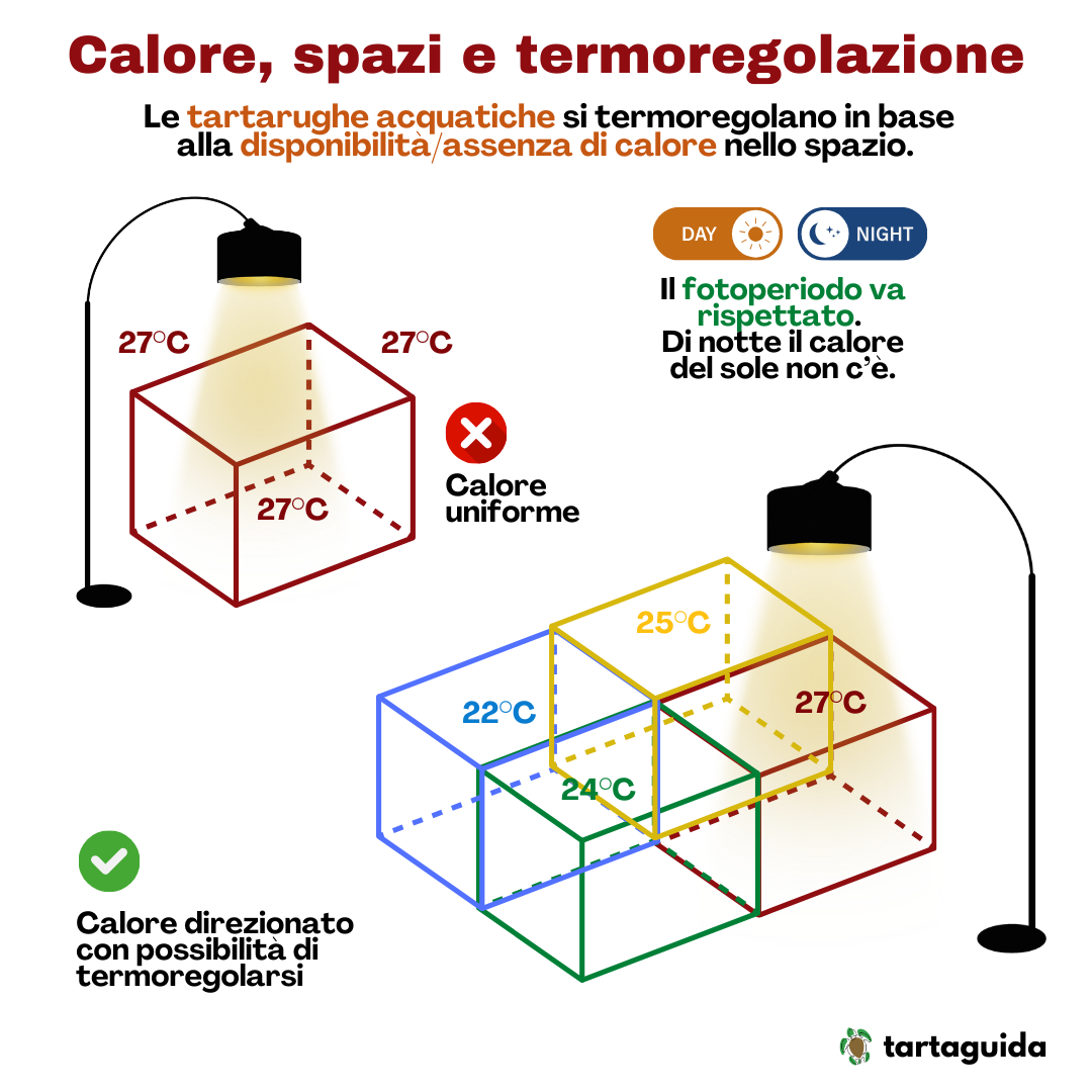 Lampada ai vapori di mercurio per tartarughe d'acqua dolce