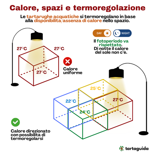 Lampada Hid per tartarughe Solar raptor/RepTec