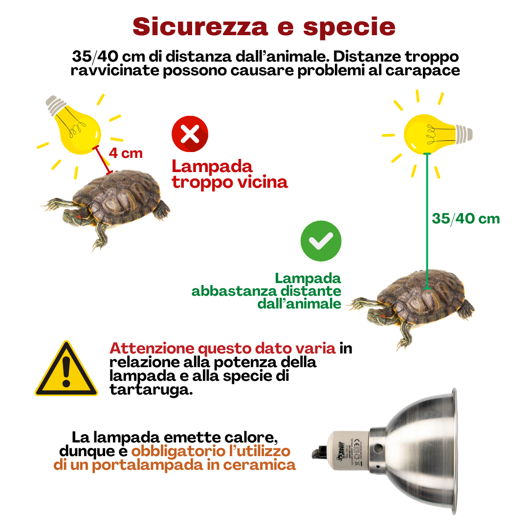 Lampada ai vapori di mercurio per tartarughe d'acqua dolce