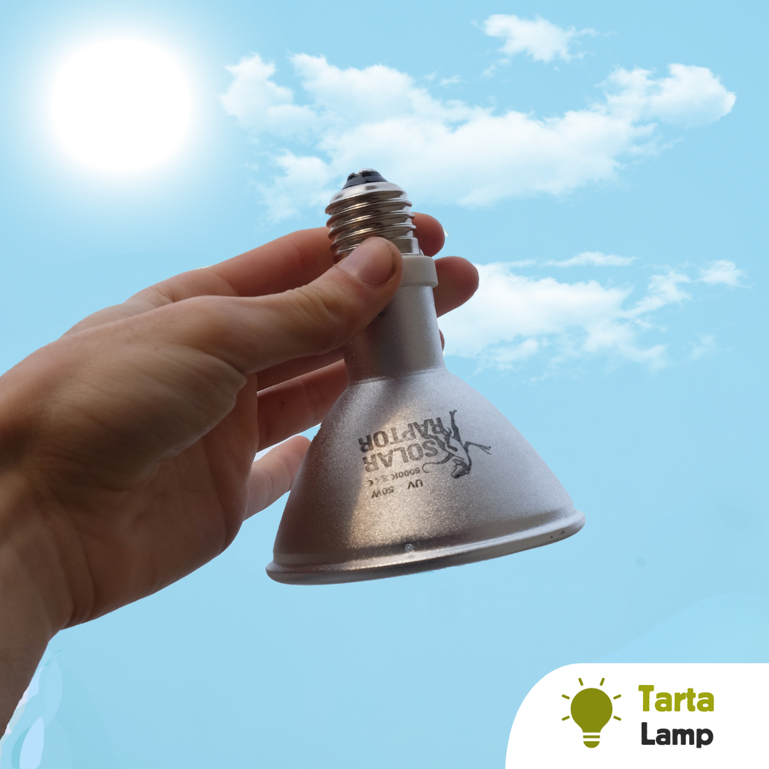 Lampada Hid per tartarughe Solar raptor