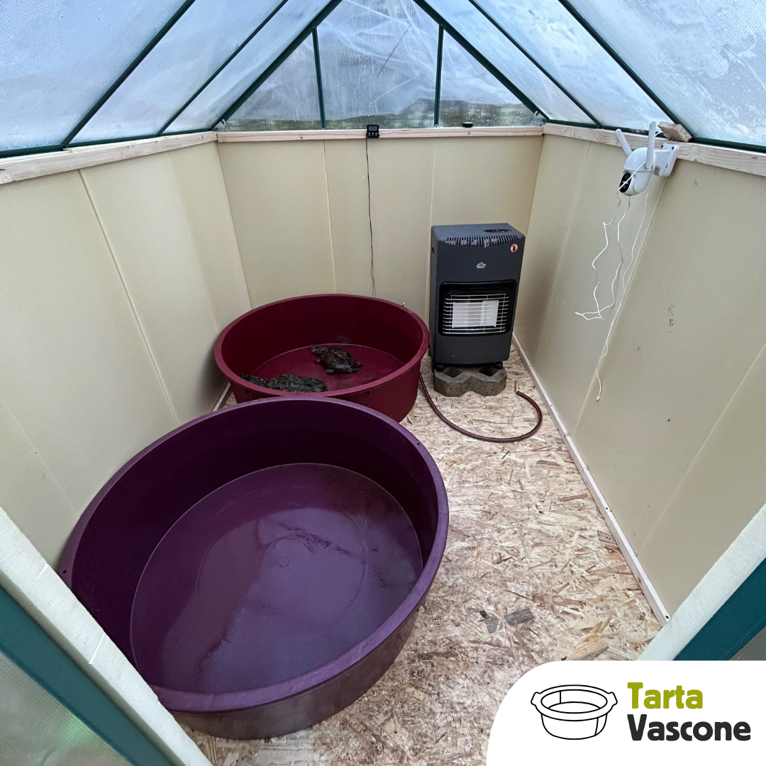 Mastello tondo 280 litri tartarughe d'acqua