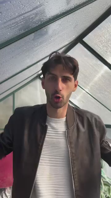 mastello tartarughe
