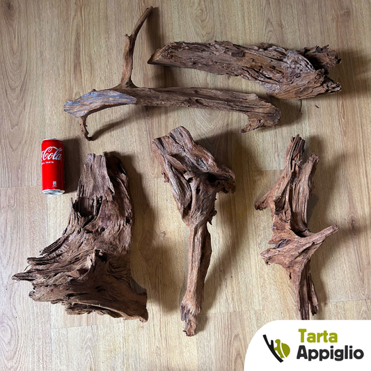 Radice per acquario tartarughe d'acqua dolce