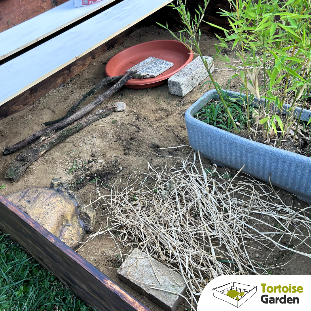 Recinto per tartarughe di terra: Tortoise garden