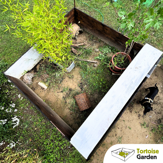 recinto per tartarughe terrestri