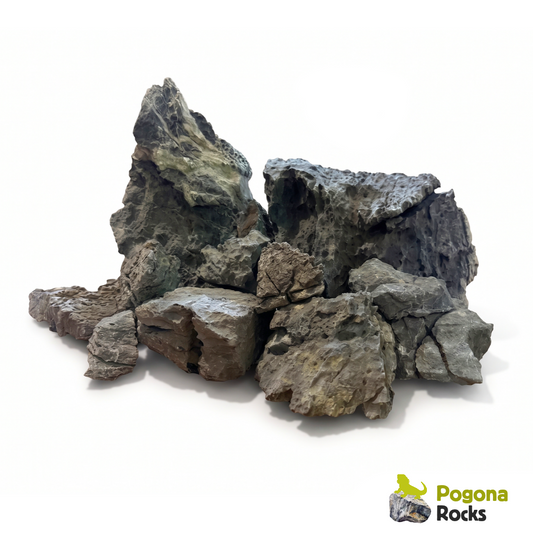 Combo habitat rocce e legni per terrario Pogona vitticeps