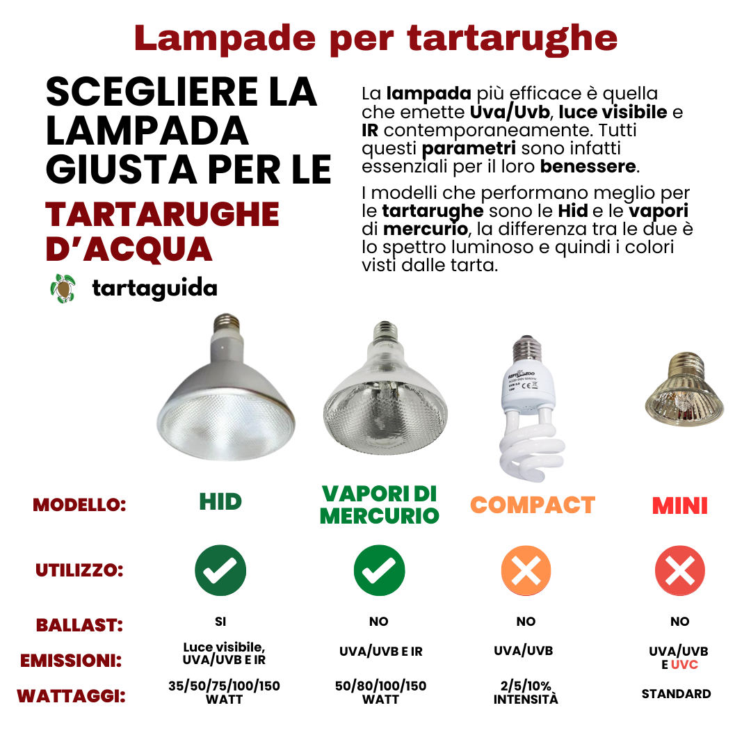 scegliere_lampada_tartarughe